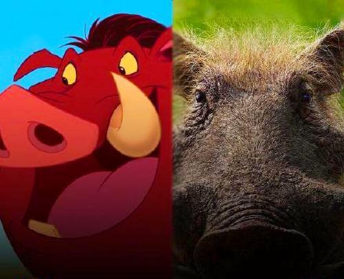 狮子王全员写实化辛巴的表情不太自然娜娜则多了一份呆萌