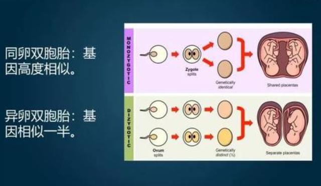 妈妈生双胞胎“一黑一白”，爸爸要亲子鉴定，医生的话让宝爸后悔|亲子鉴定|双胞胎|卵子_新浪新闻