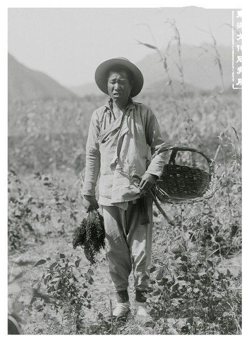 清朝末年农民挖出一举世国宝价值远超后母戊鼎专家都眼馋