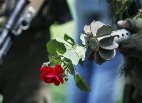 女生将玫瑰插在士兵枪口里,士兵回之一笑,随后她被60枚子弹射杀