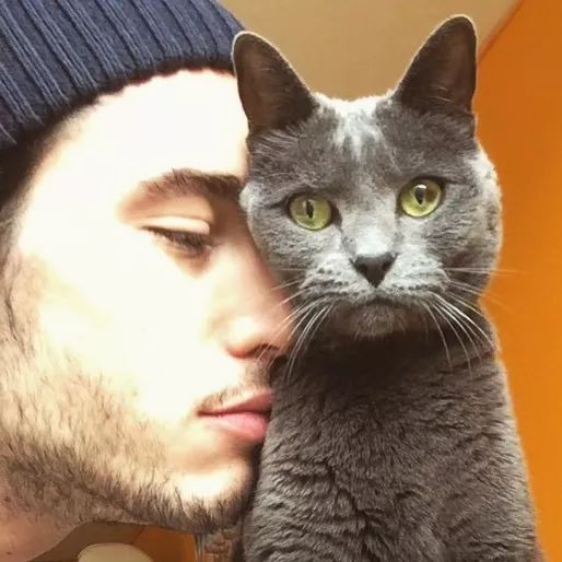 可口的法国男模lou gaillot,我好喜欢他的小猫咪!