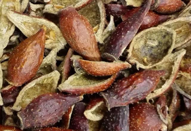 乡下浑身刺的一种野果,它摘了能吃用处还大,晒干便成珍贵好药材