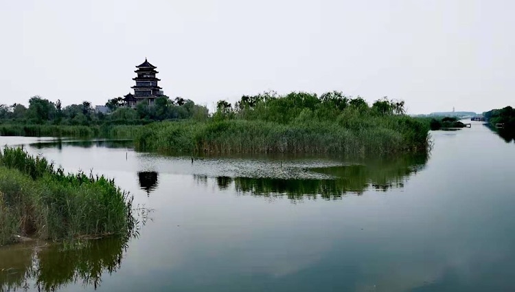 "北国江南"桓台马踏湖,沟叉纵横水乡美