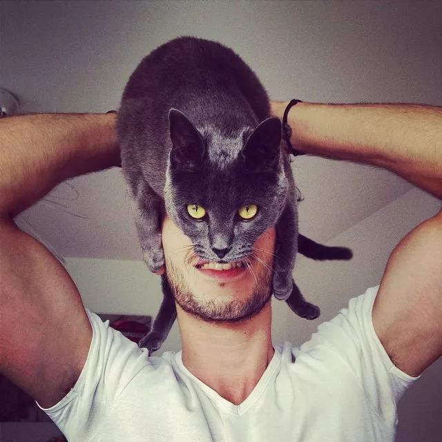 可口的法国男模lou gaillot,我好喜欢他的小猫咪!