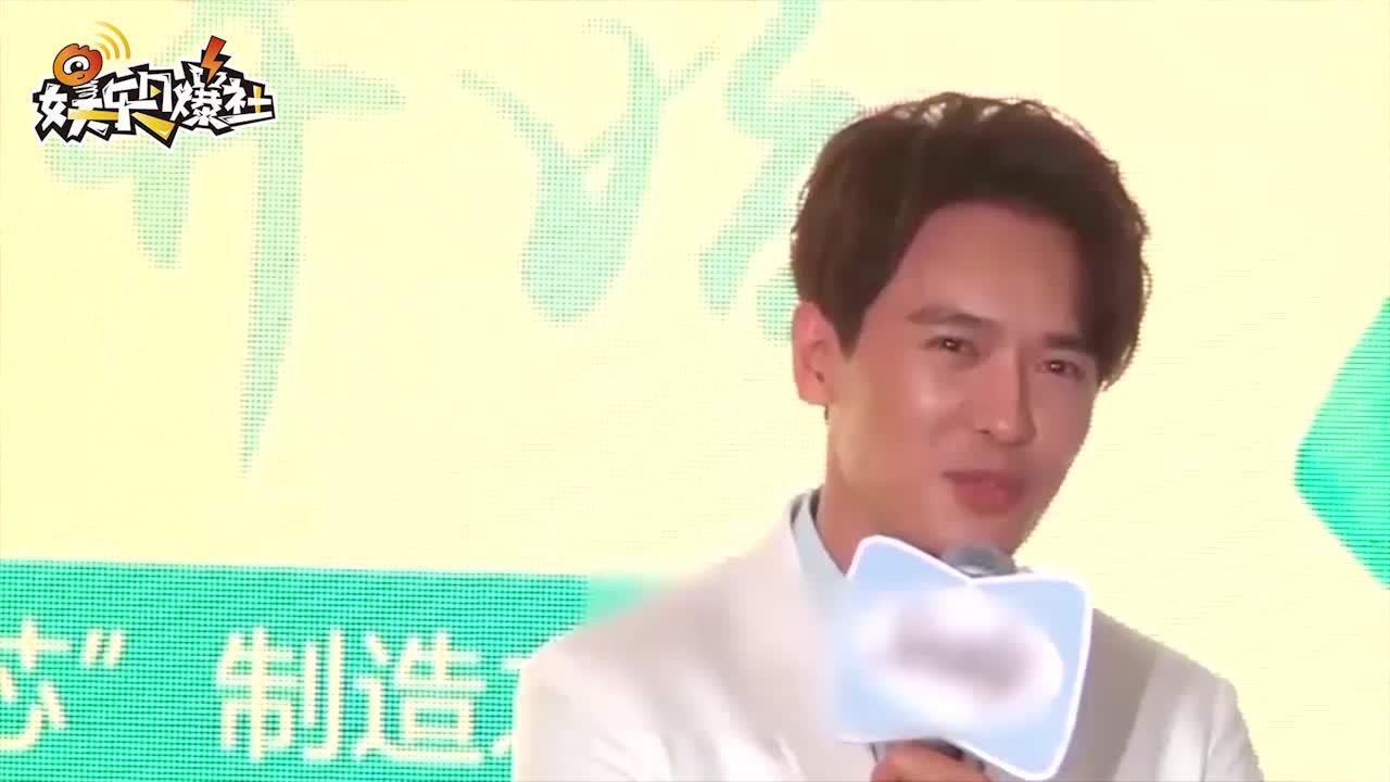 律师确认董璇高云翔离婚