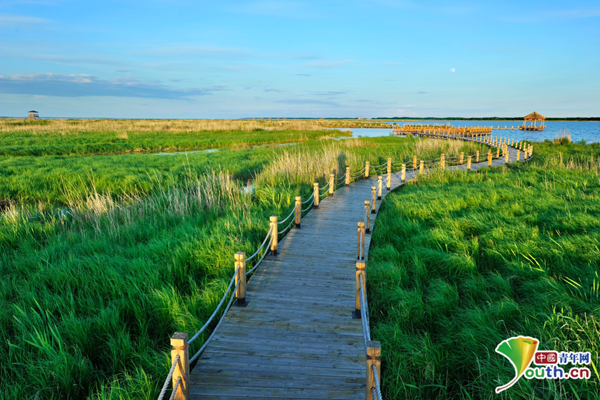 助推生态旅游强省建设--龙江东部湿地旅游联盟在鸡西市成立