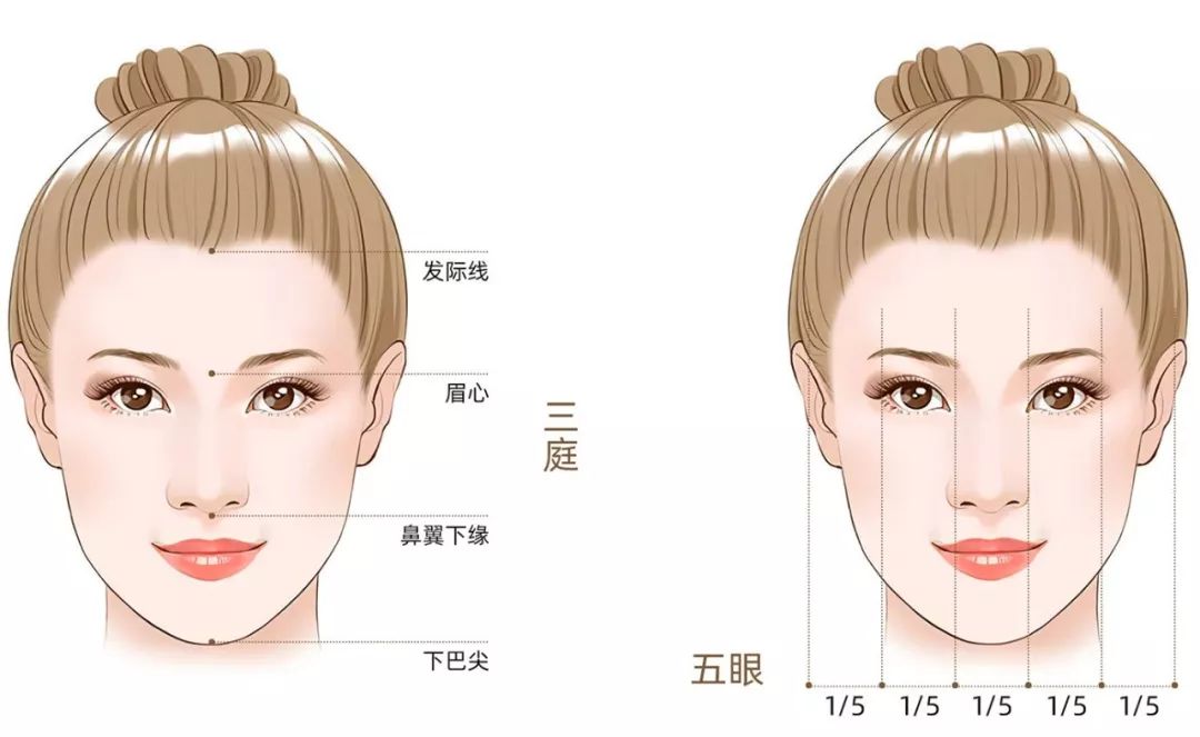 毛老师说过:化妆的重点是调整三庭五眼的比例为了研究毛戈平化妆术