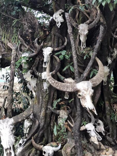 第一现场!我在云南原始部落拍摄殡葬文化纪录