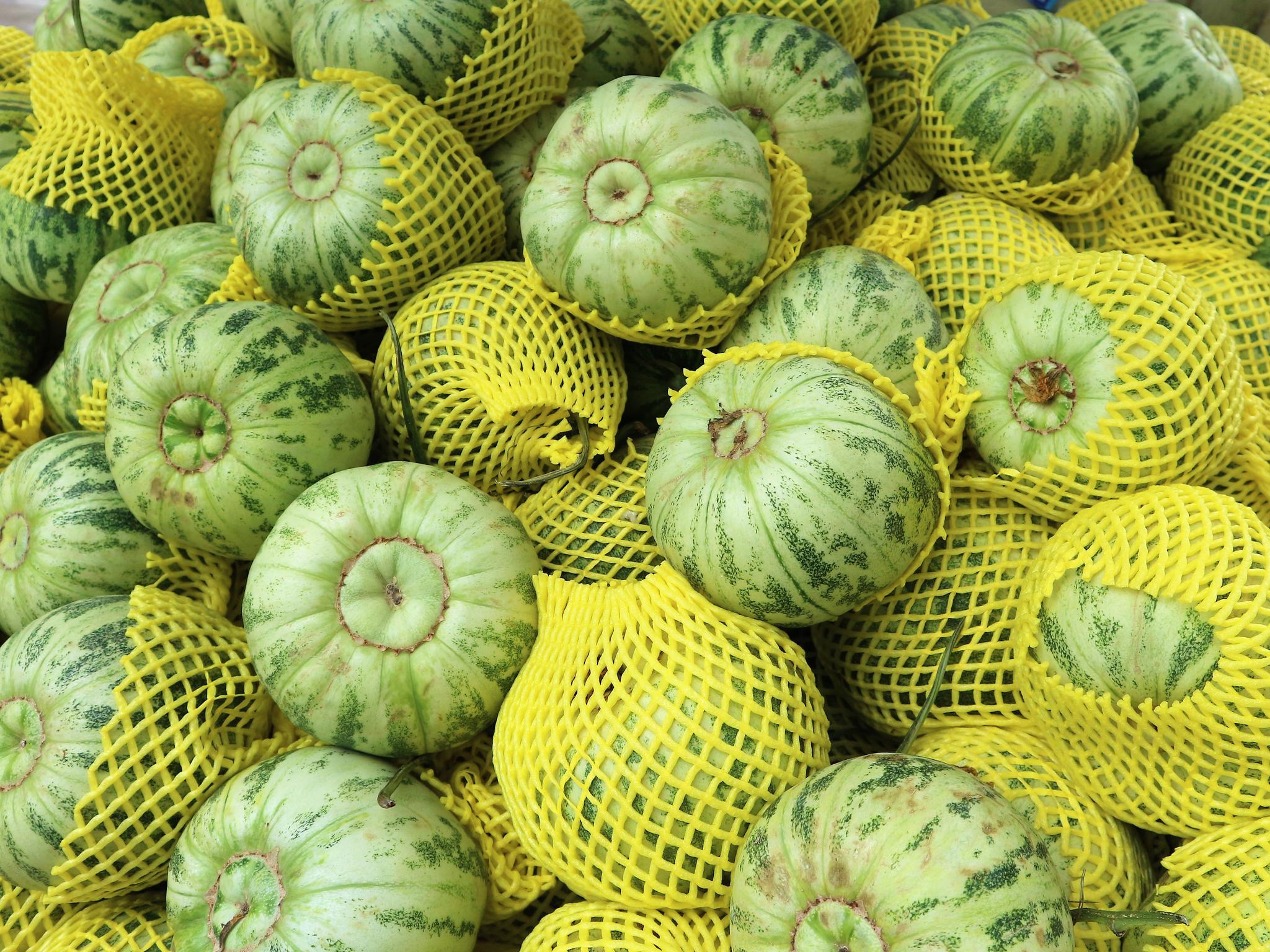 农民种植一种小瓜老年人特别喜欢吃3亩收入18000元