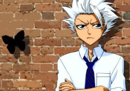 端坐于霜天的王者冰轮丸作为冰雪最强斩魄刀却只有被秒的份