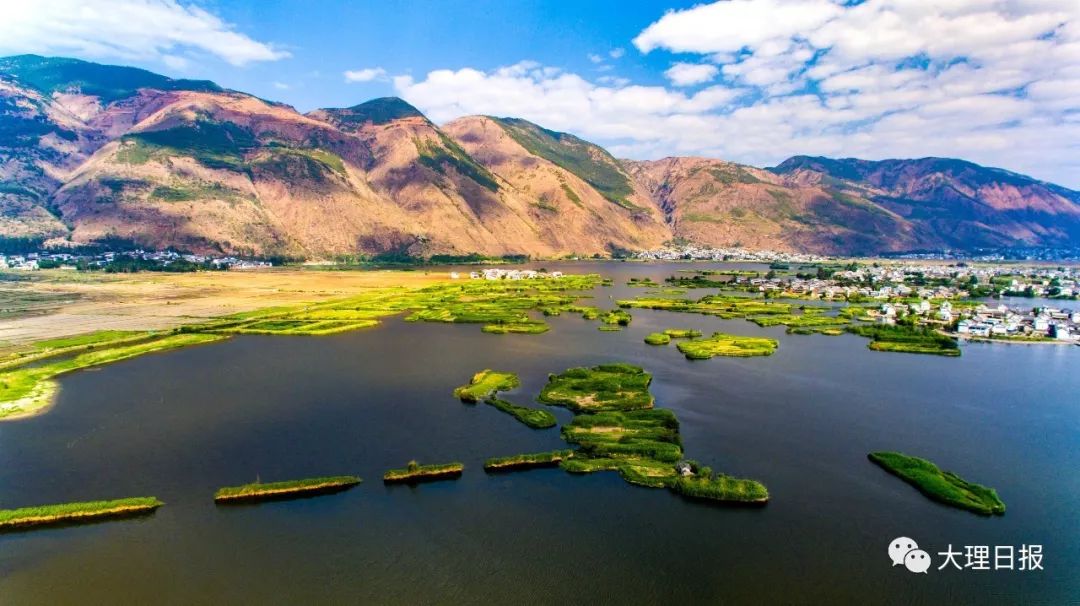 何处水清幽?洱源万亩湿地来作答