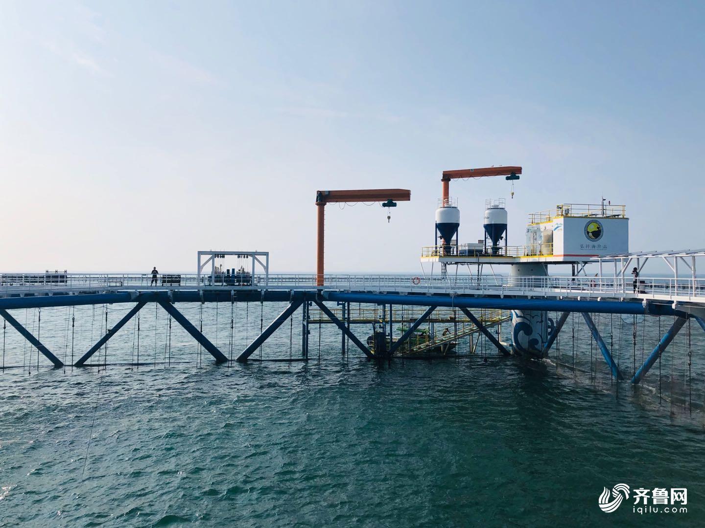 我爱的这片蓝色国土丨高效!"长鲸一号"仅需4名员工就能喂养1000吨鱼