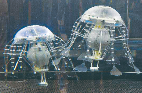 毫米级多功能水母机器人问世