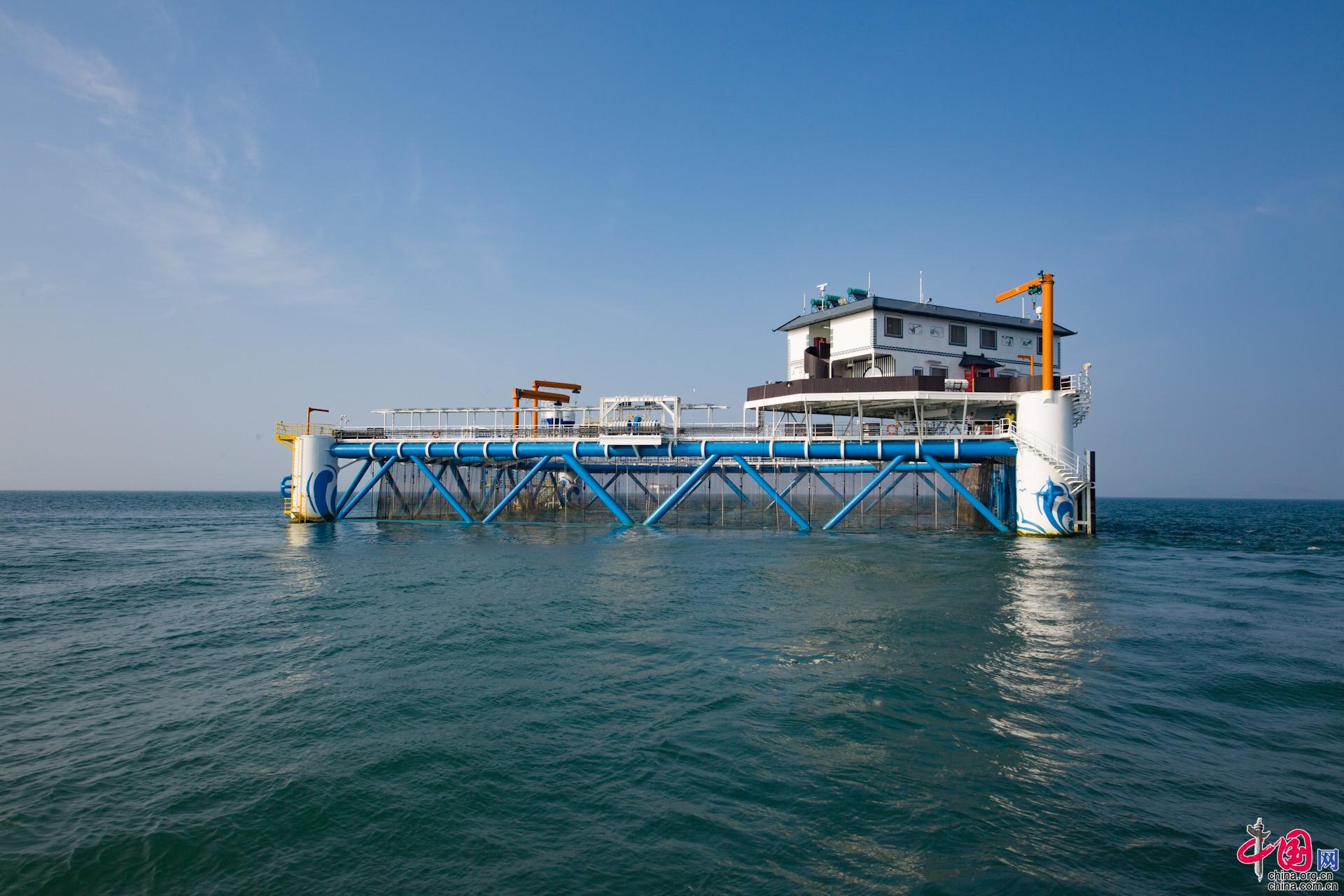 4名员工喂养1000吨鱼"长鲸一号"独创两项"世界第一"