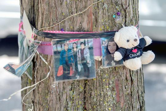 章莹颖所在的大学，同学们将其照片放在树上表示怀念。来源《新闻公报》