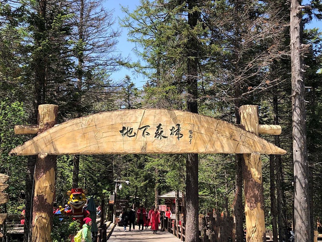 我国唯一的地下森林,并不是真的在地下,但景观依旧奇特吸引游客