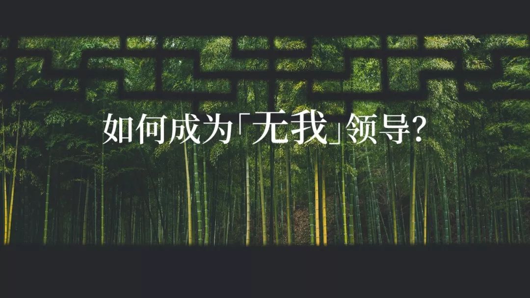 陈春花如何成为无我领导