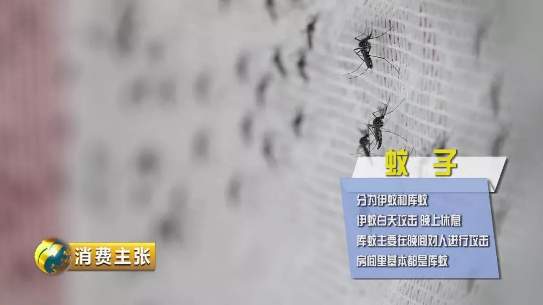江苏快3杀号技巧