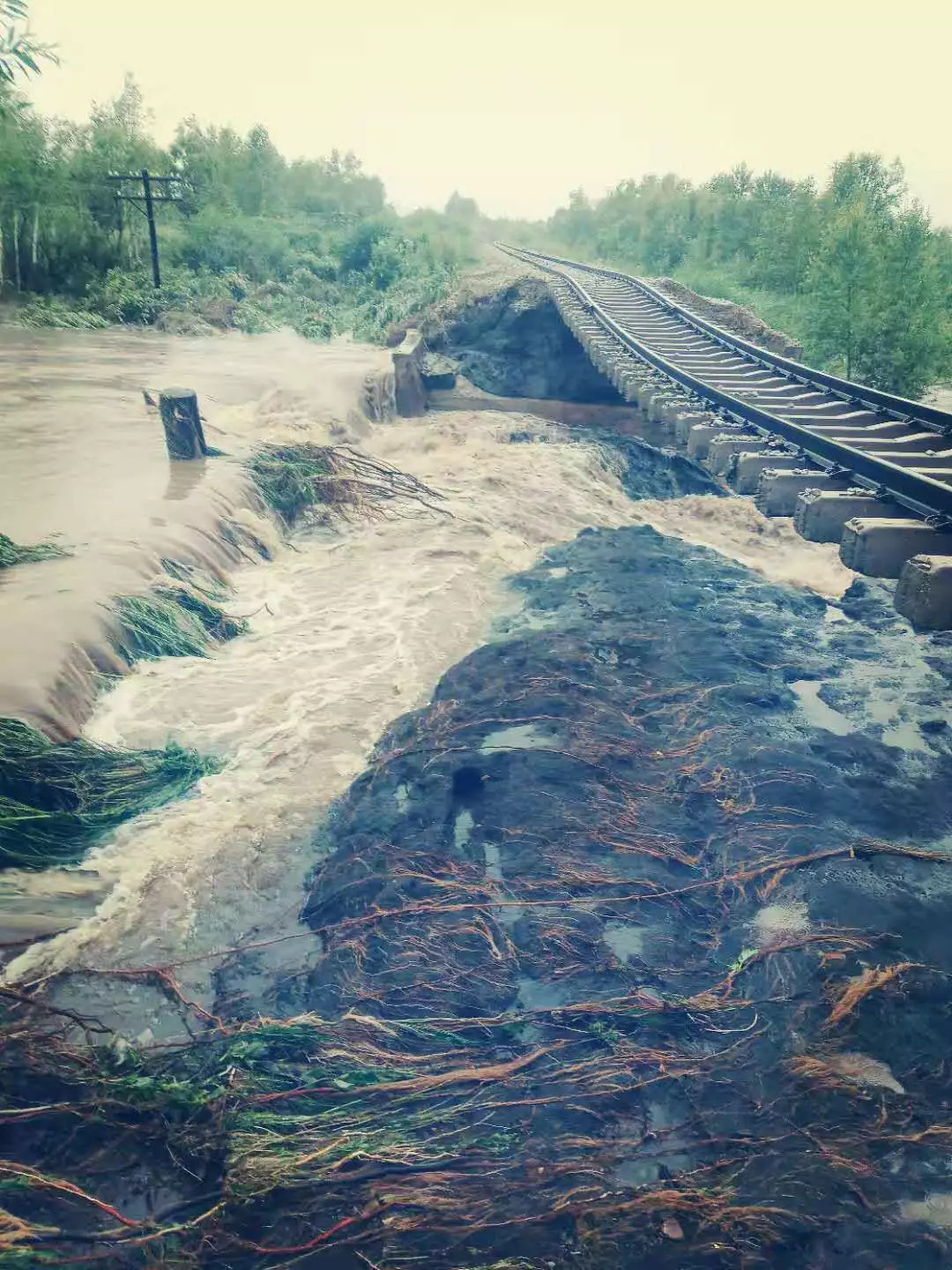 受此影响,当日,黑河至大连的2210次,哈尔滨至黑河的k7031,k7033,k7035