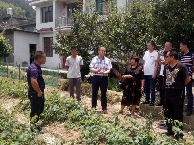 7月17日下午,博士团在溆浦县龙庄湾乡政府会议室举行了活动启动仪式暨