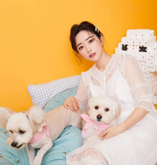 爱心天使演员洪秀儿流浪犬杂志封面大公开