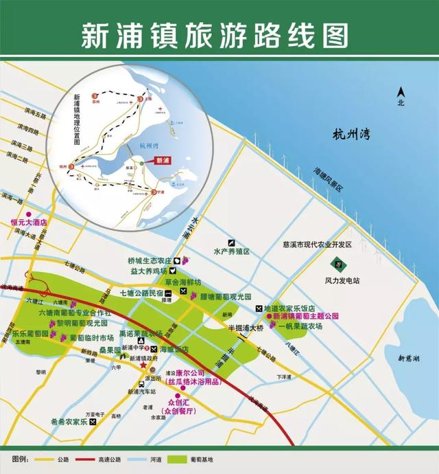 这个夏天有点甜等了一年的新浦葡萄熟喽赶紧约