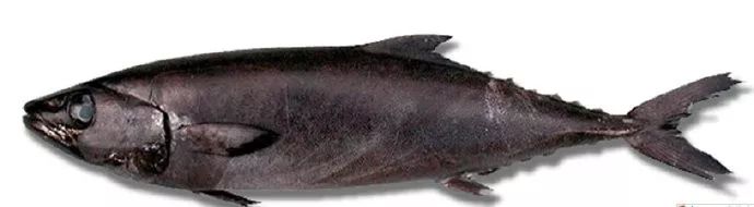 只要吃它就可以体验屁股冒油的感觉男生必看