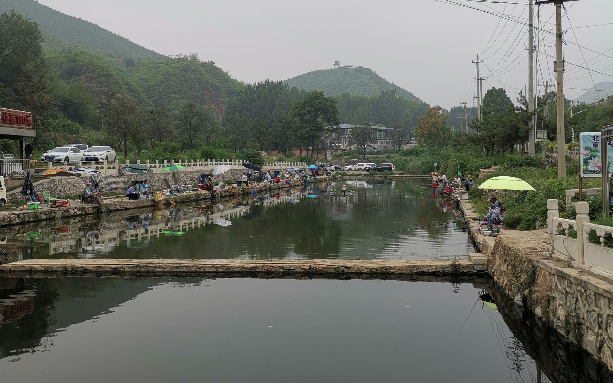 站在垂钓园的高处,记者看到不远处的鱼塘四周有数十名钓友架起钓台.