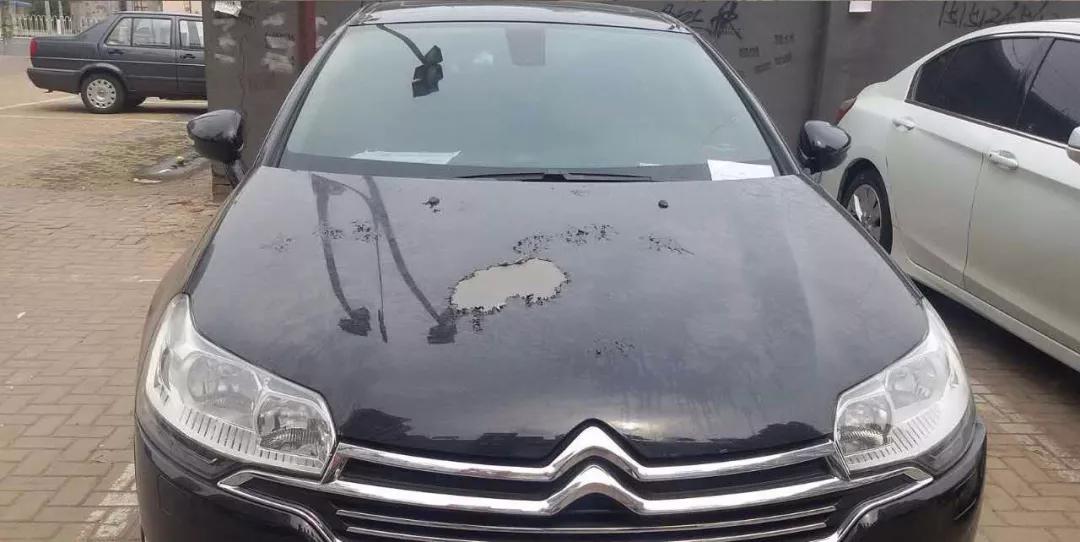 三伏天汽车暴晒没法坐人?教你如何30秒快速降10度