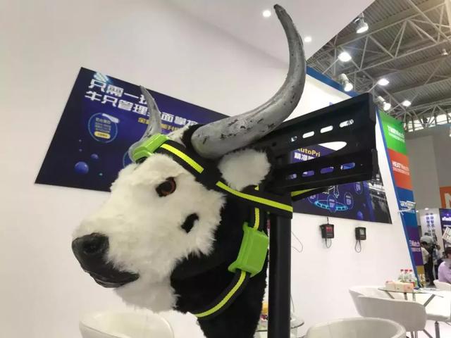 比拼智慧牧场,精细管理 乳品质量 牛说了算|机器人|牧场|奶牛_新浪