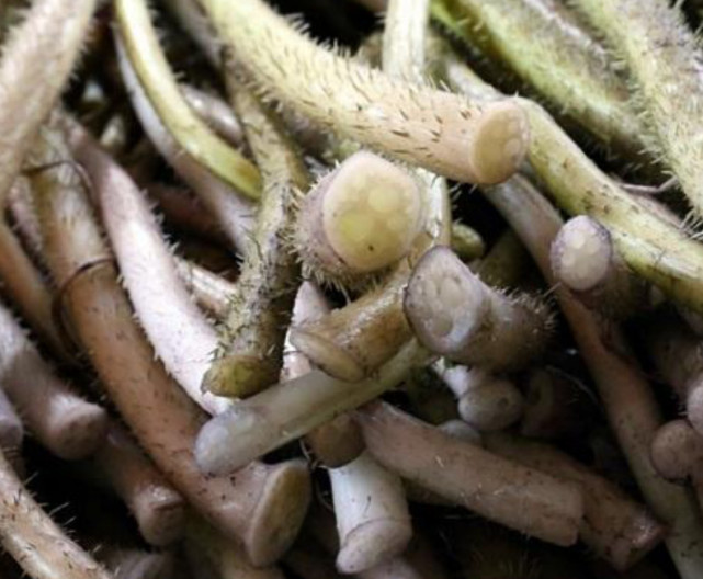 这种淡粉色的带刺茎杆味道很棒但采摘极麻烦如今卖的比藕带贵