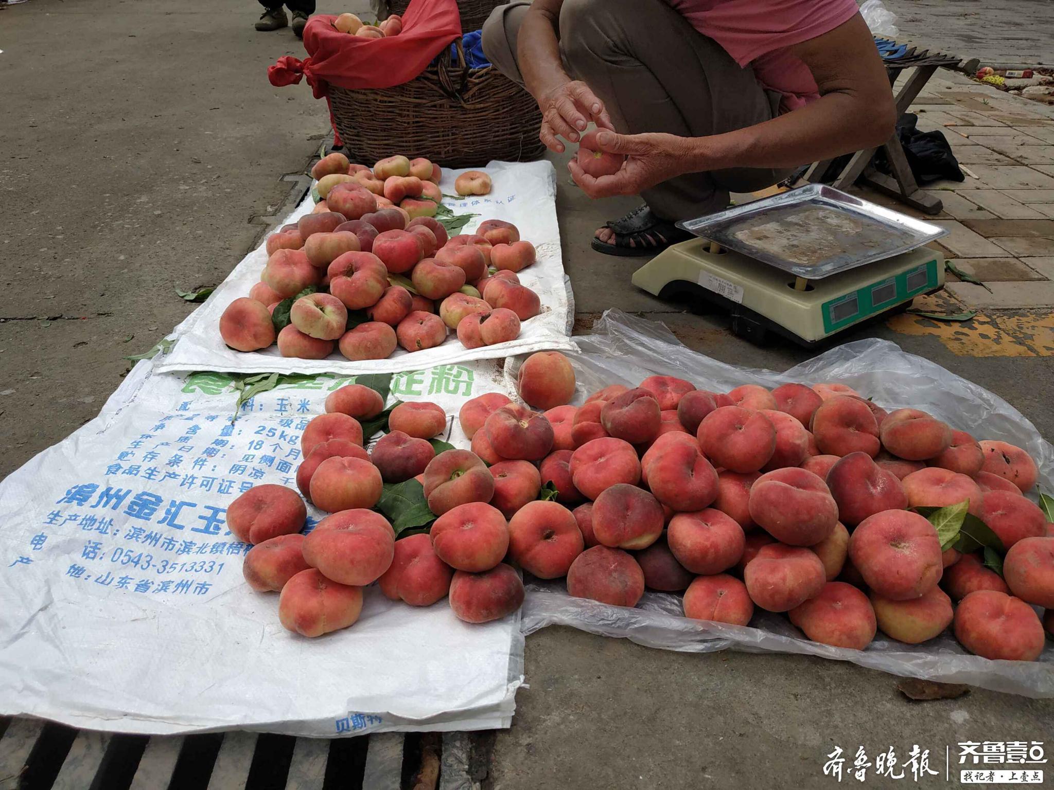 阳山水蜜桃市场图片