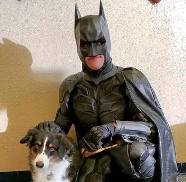 狗狗刑场获救带它重生的竟然是蝙蝠侠