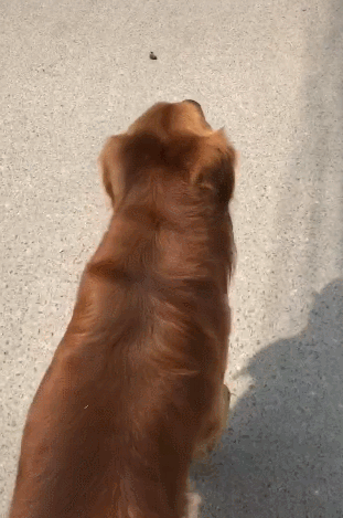 311_469竖版 竖屏gif 动态图 动图