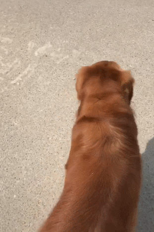 311_469竖版 竖屏gif 动态图 动图