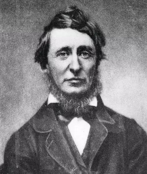 有一种精致,无关金钱|梭罗|价值观_新浪新闻