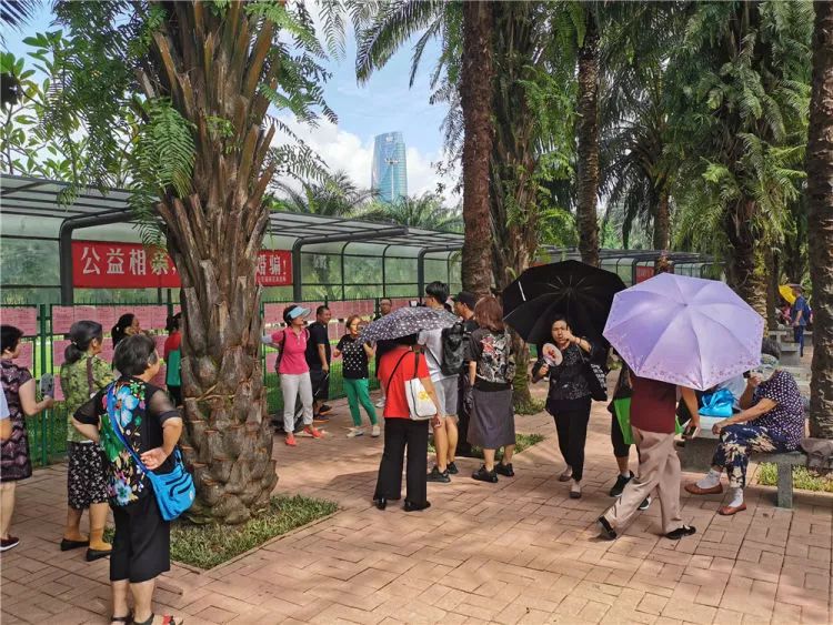 莲花山公园相亲角大!变!样!儿!啦!大爷大妈都愣住了.