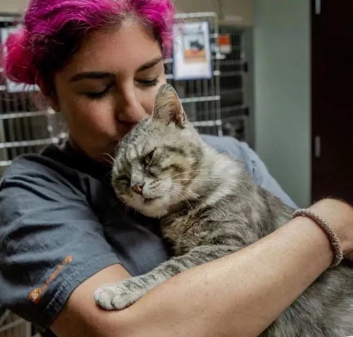 大脸猫非常喜欢人类,只要有人抱它,就露出一脸陶醉的亚子!