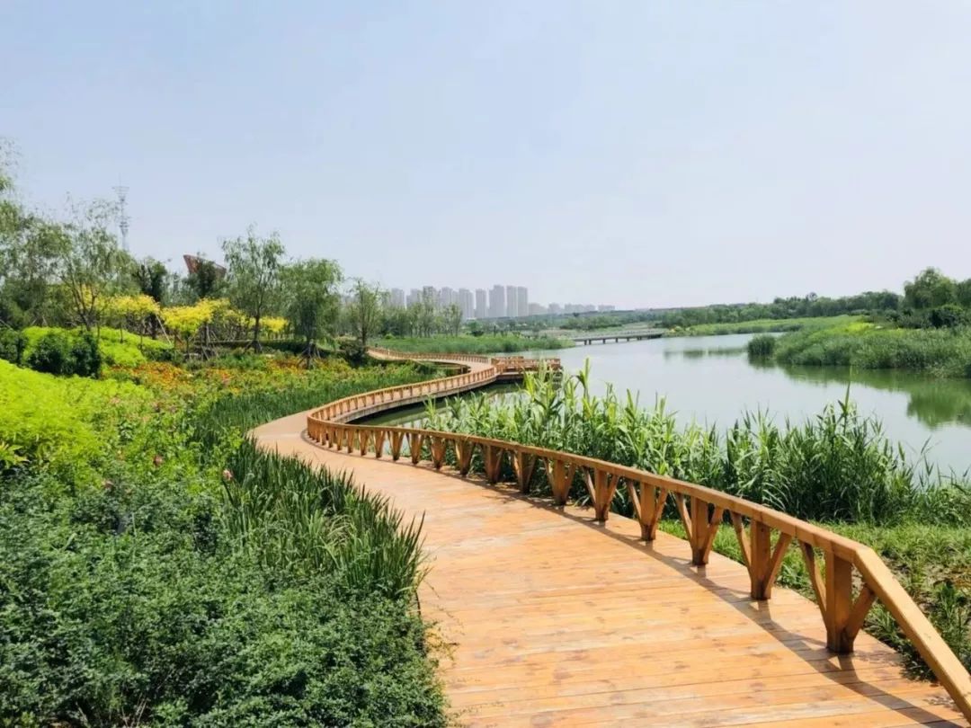 城事| 天津新添两处亲海主题公园!年内有望开放