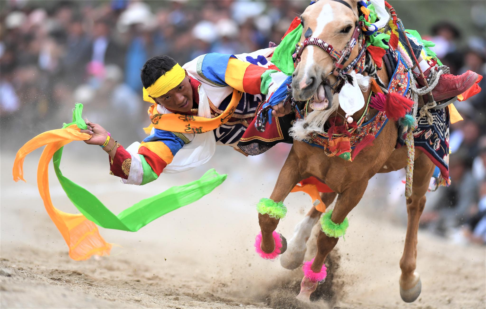 欢度望果节西藏曲水举行传统马术表演