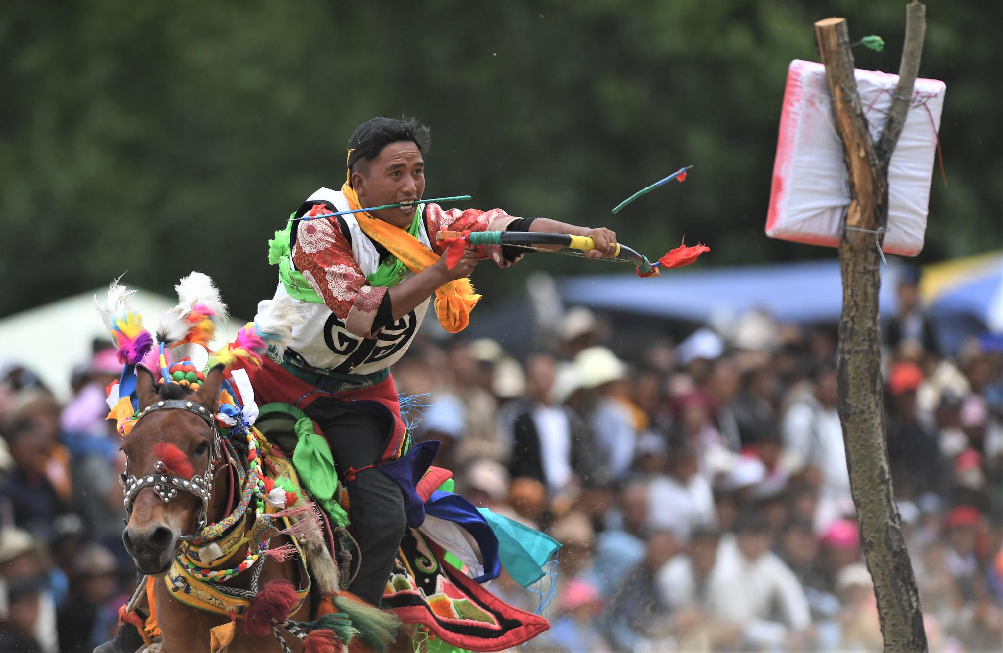 欢度望果节  西藏曲水举行传统马术表演