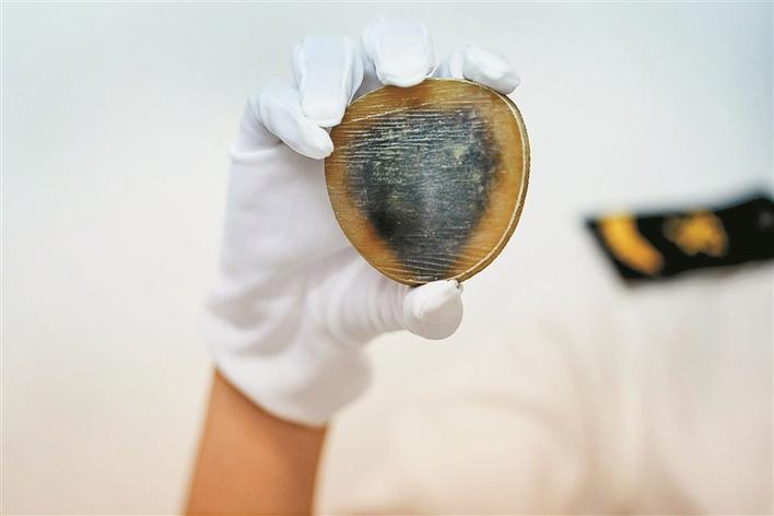 旅客绑藏犀牛角制品入境被抓获