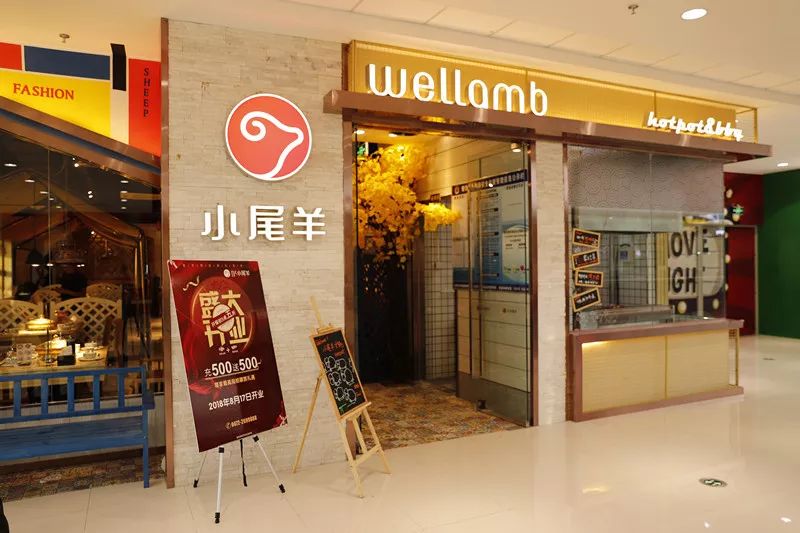 小尾羊:连接世界的牧场