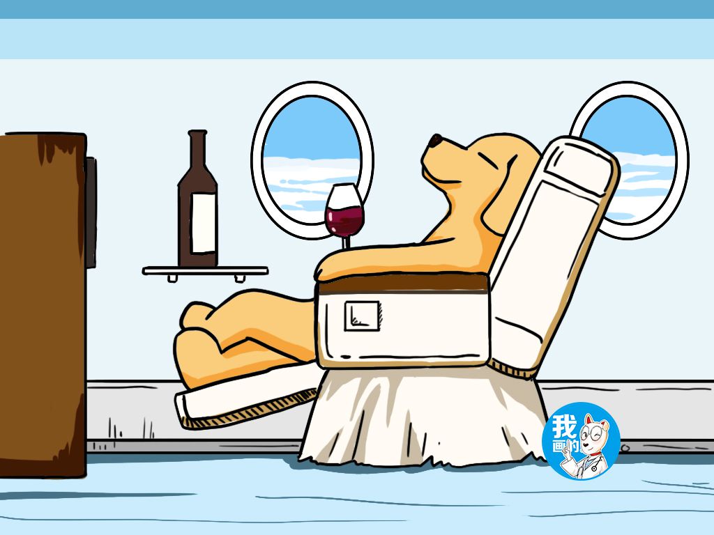 女子坐飞机头等舱,一看邻座乘客却酸了:投胎是门技术活