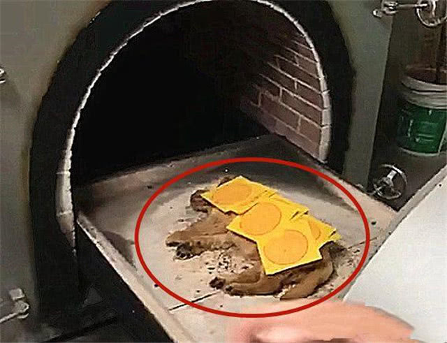 主人带去世狗狗火葬,火炉推出来后,主人泪流不止