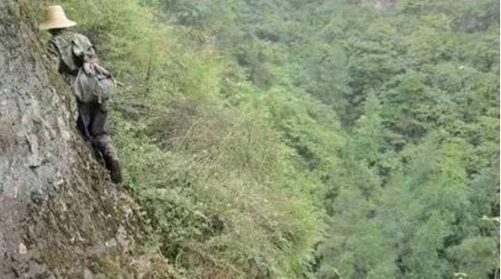 老汉上山采药捡到人形木头,专家前来鉴定,表示不上交就坐牢