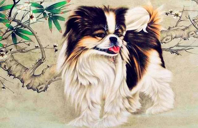 熬完本月迎福运,福星高照,迎来喜讯的生肖