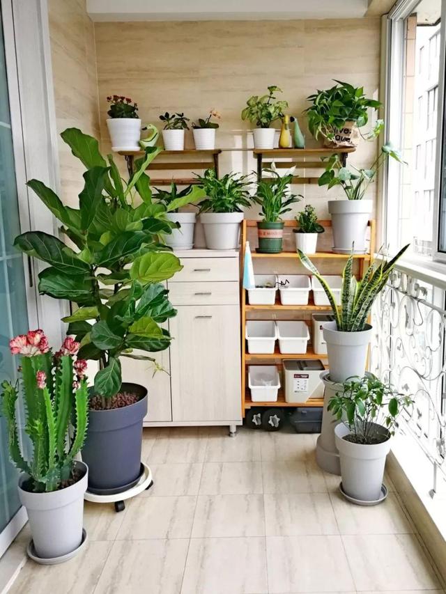 别人家的阳台都变成小花园了你家的还只是晾衣服太浪费了