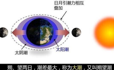 为什么会涨潮和落潮?是什么原理?|月球_新浪新闻