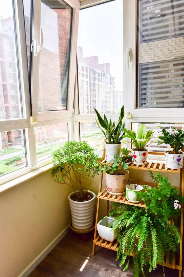 别人家的阳台都变成小花园了你家的还只是晾衣服太浪费了